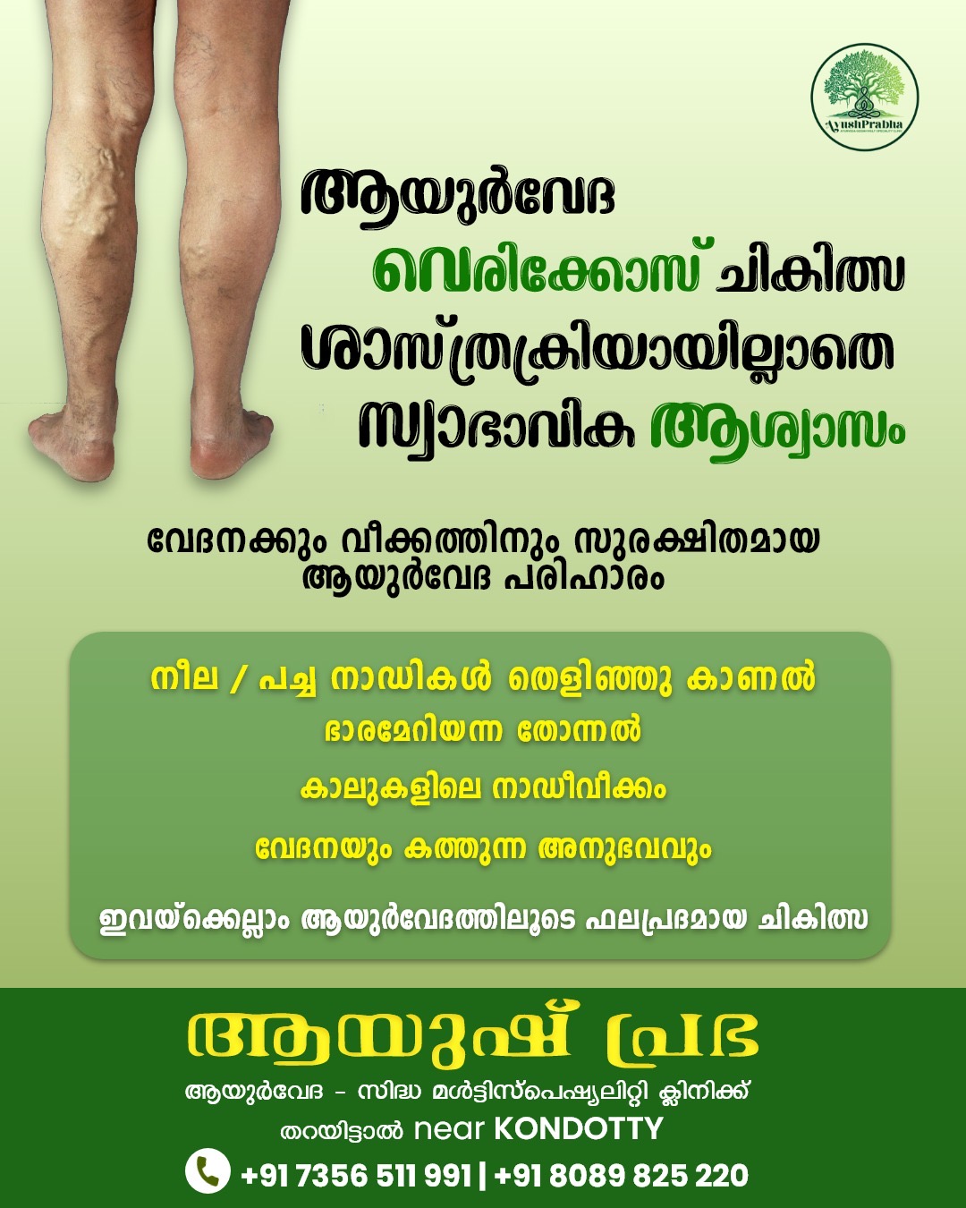Ayush Prabha Ayurveda